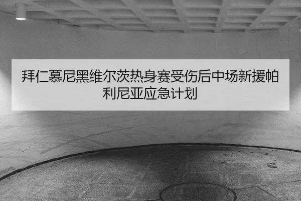bai-ren-mu-ni-hei-wei-er-ci-re-shen-sai-shou-shang-hou-zhong-chang-xin-yuan-pa-li-ni-ya-ying-ji-ji-hua-2-296.jpg